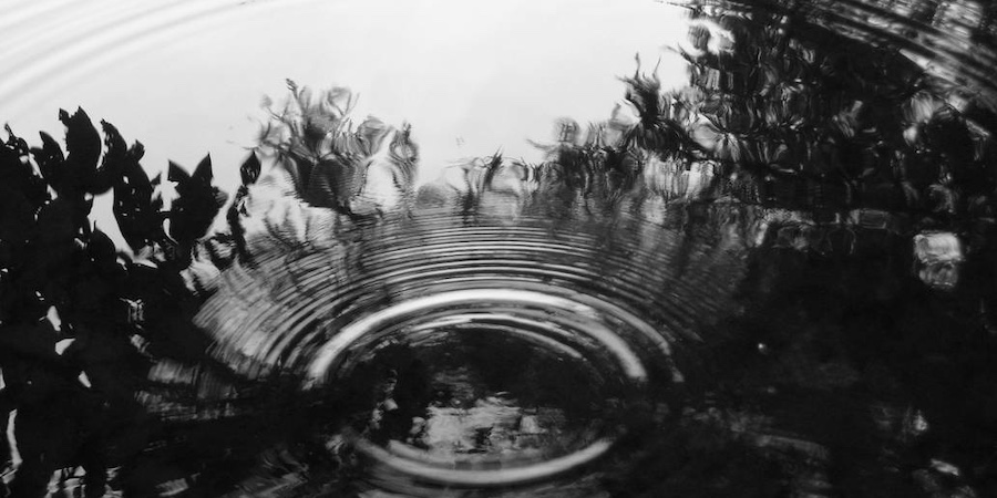 Ripples in a pond, black and white